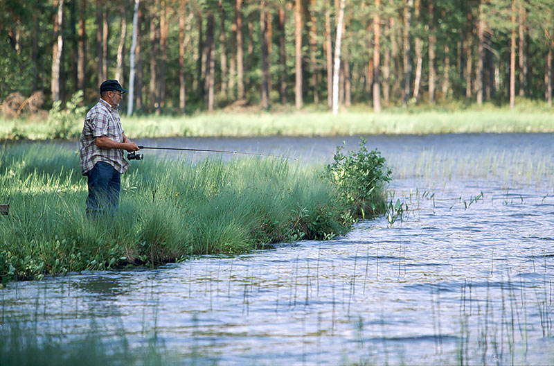 Järndammen