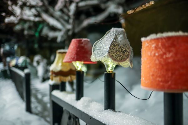 Nattljus och vinterskimmer