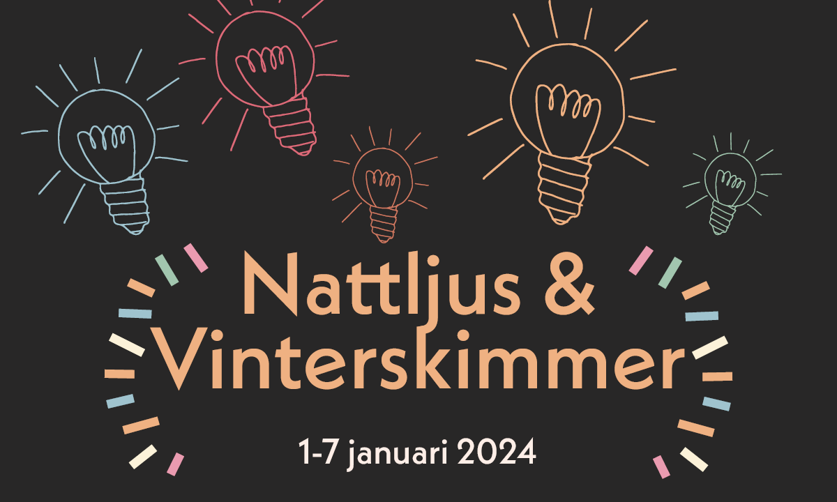 Nattljus & Vinterskimmer - ljusfestival