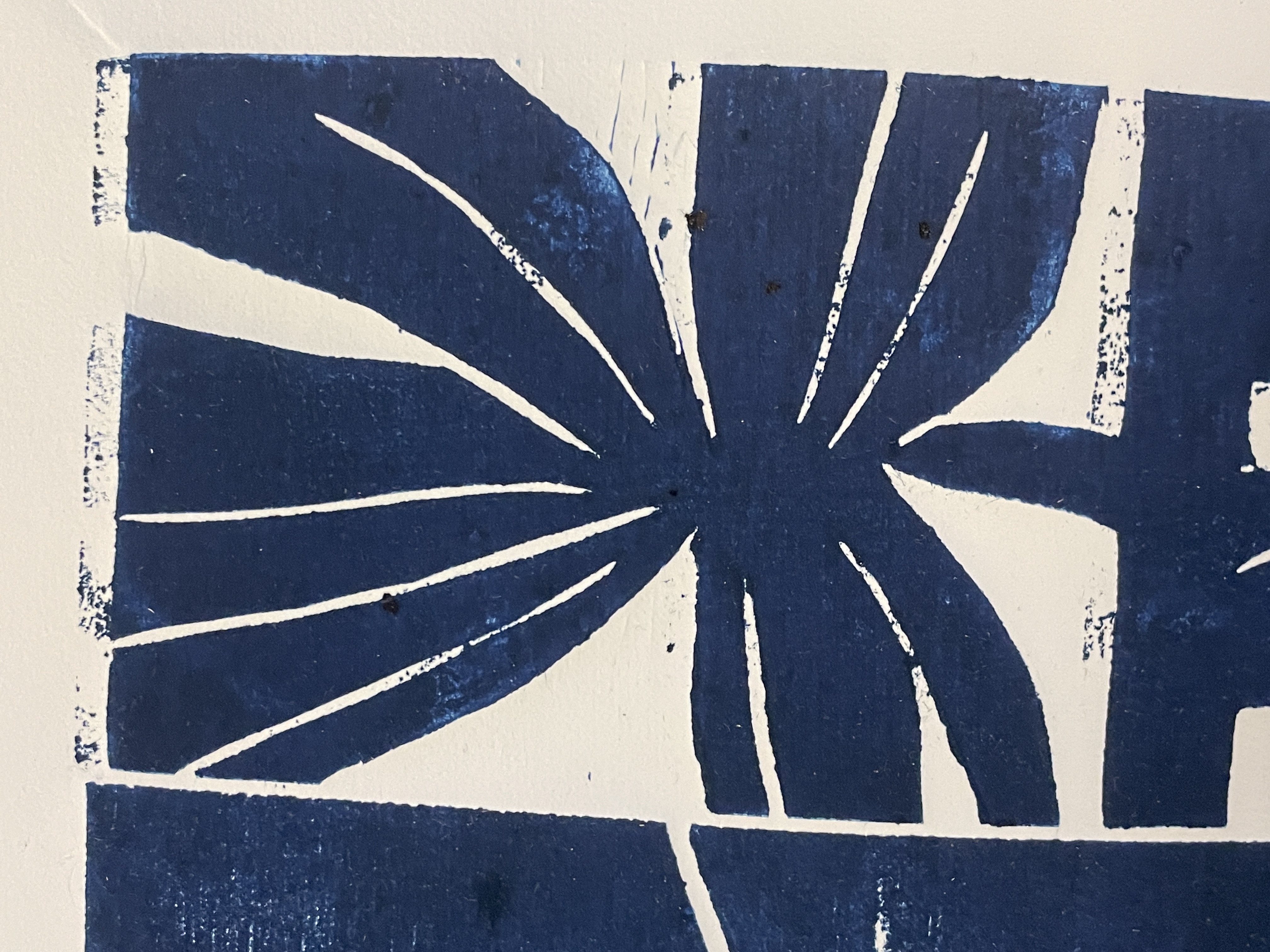   Bildrättigheter/fotograf: Pascal Lavaud