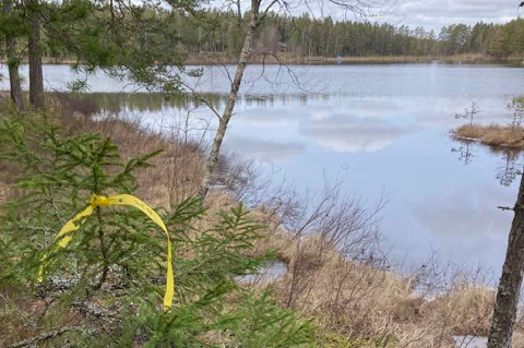 Välkomna till Järndammsstugan Bildrättigheter/fotograf: Inga-Britt Pettersson Välkomna till Järndammsstugan Bildrättigheter/fotograf: Inga-Britt Pettersson