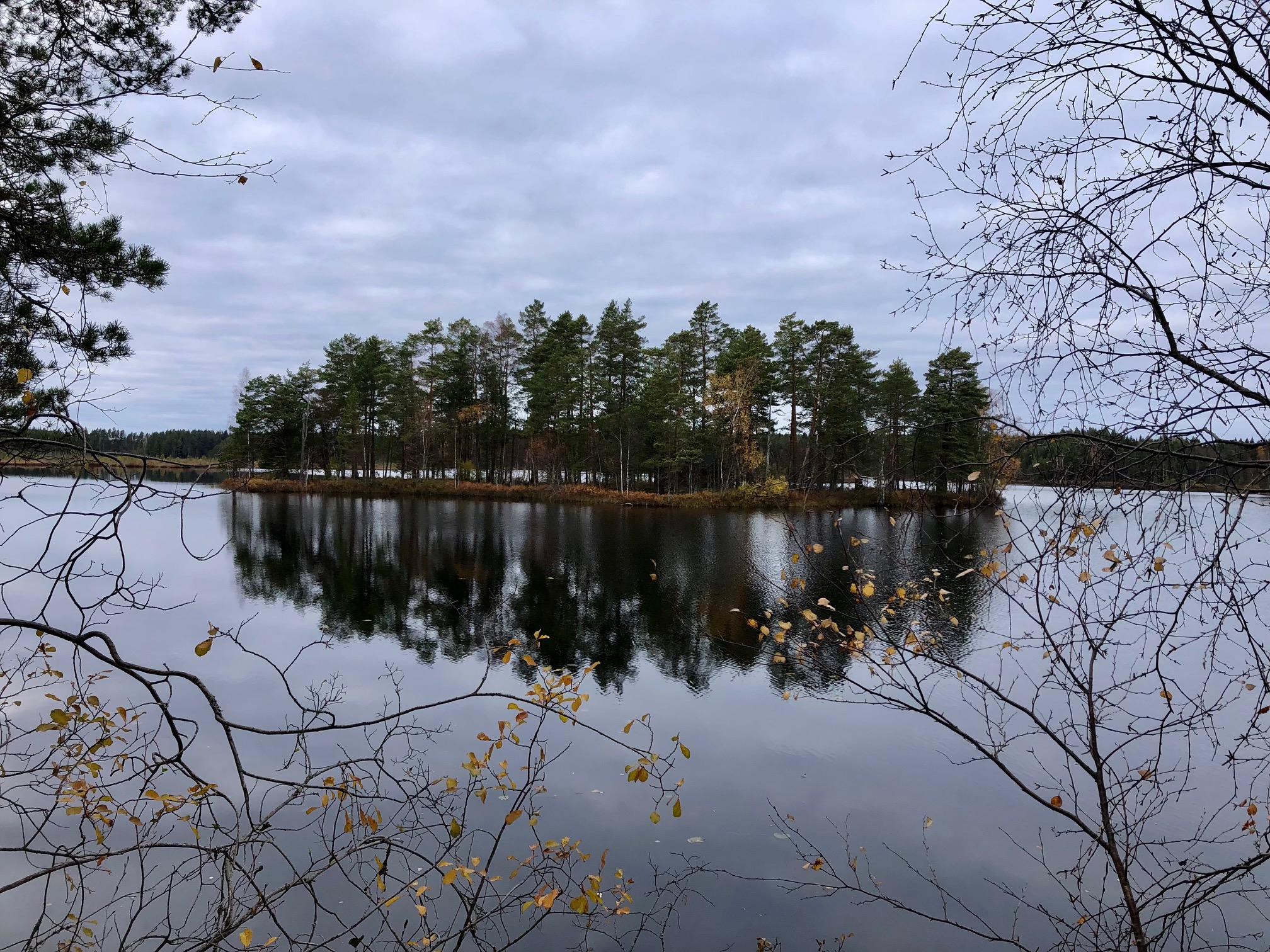 Följ med oss på nya vandringsleden runt vackra Helgonmossen  Bildrättigheter/fotograf: Gun Jansson