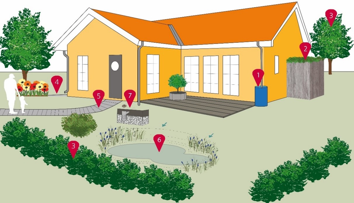 Bild som illustrerar lokalt omhändertagande av dagvatten kring en fastighet.