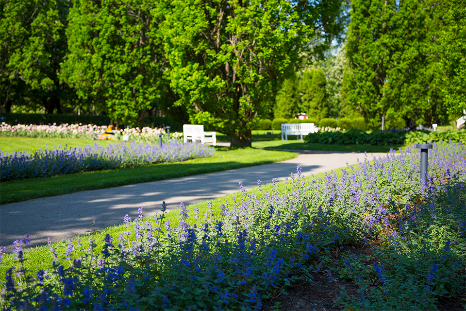 Grusgång i Stadsparken