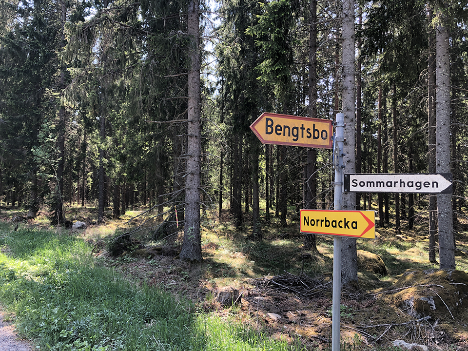 Området före avverkning