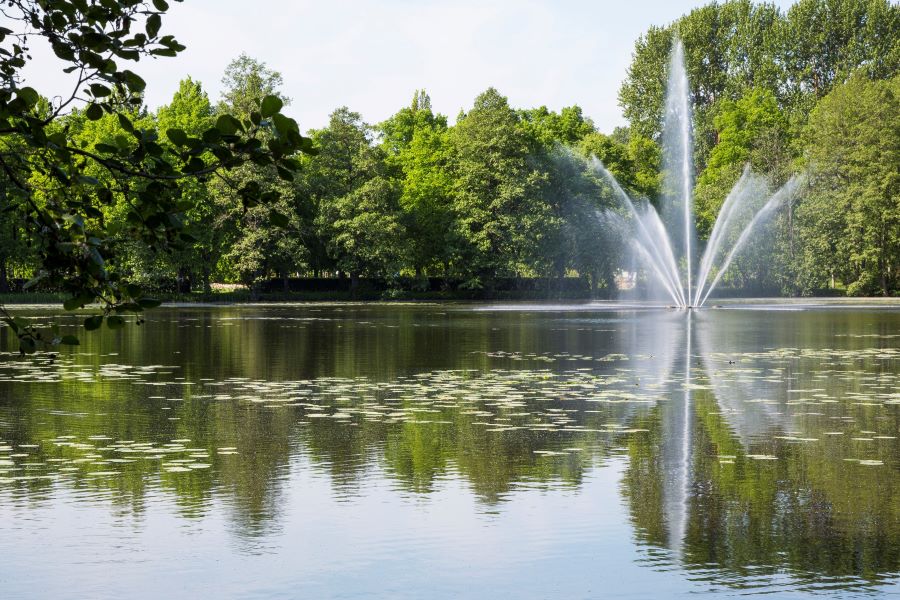 Fontänen i dammen i Stadsparken.