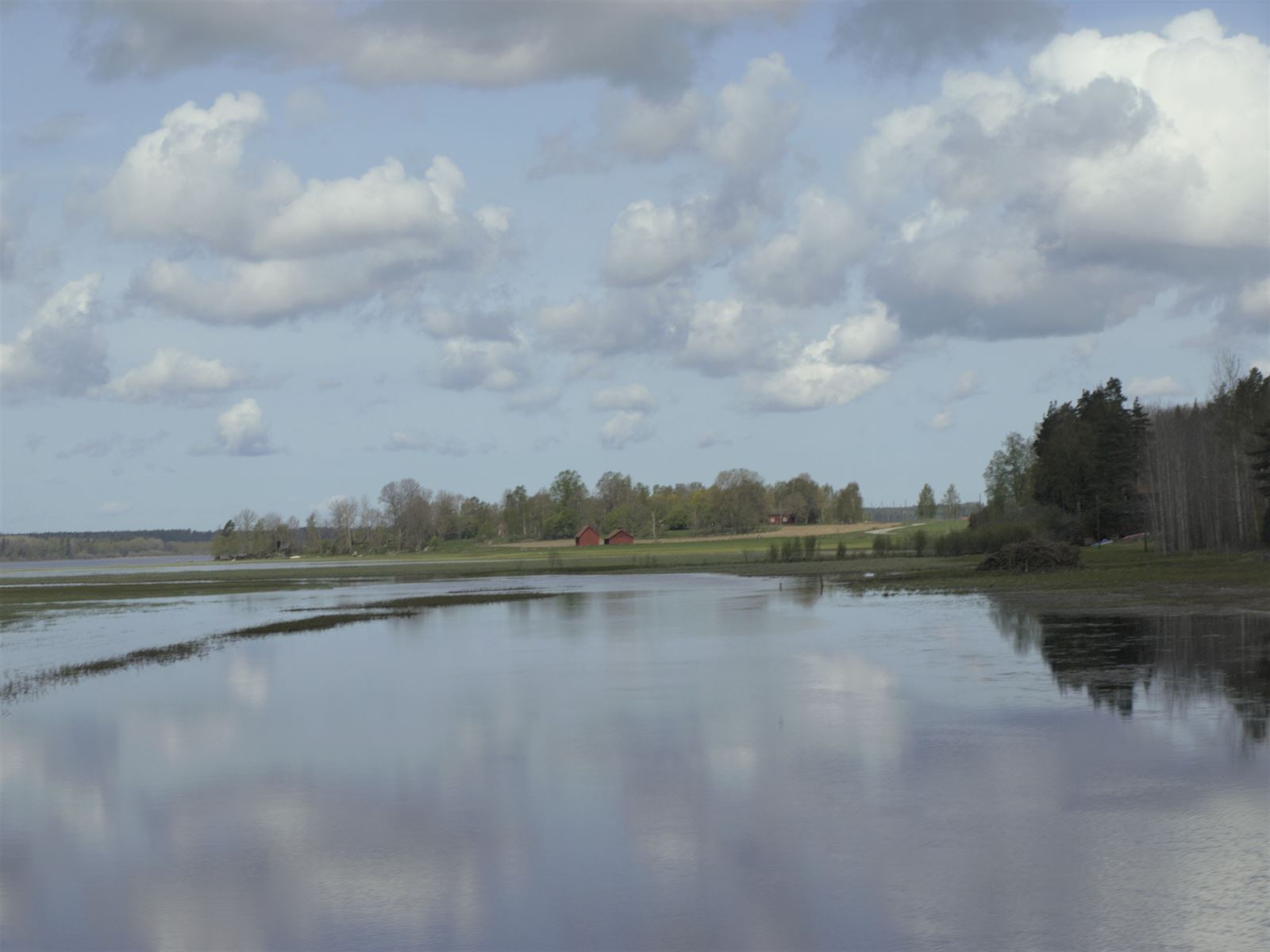 Bild från Svartådalen som är känd för sina sjöar och översvämningsmarker och som lockar till sig ett rikt fågelliv.