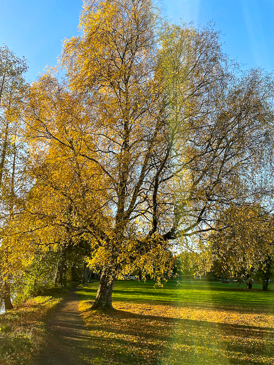 Promenadstråket vid Ekebydammar.